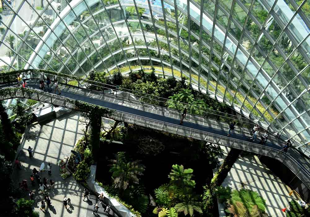 Walkway through large tropical greenhouse